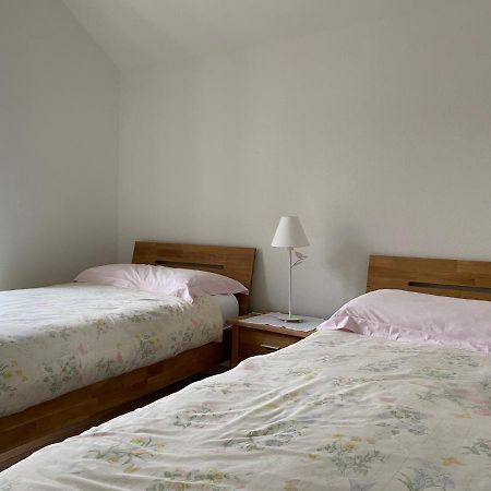 Losone - Locarno, Rustico San Giorgio Ngoại thất bức ảnh